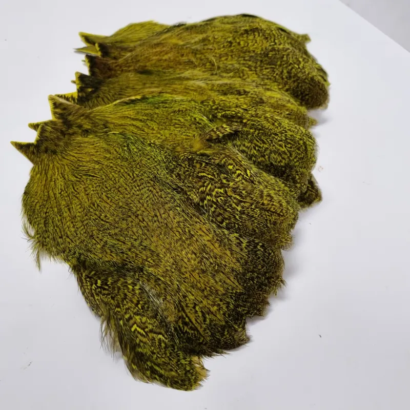 Whiting Coq de Leon Hen Cape in Speckled Fl.Yellow Chartreuse-5